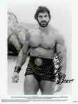 LouFerrignoAutograph.jpg (107122 bytes)